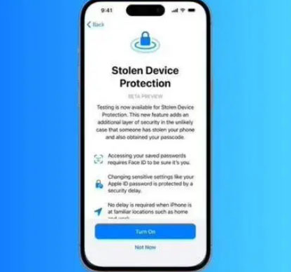 镇坪苹果授权维修店分享被盗设备保护功能开启方法