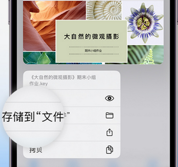 镇坪apple维修中心分享iPhone文件应用中存储和找到下载文件