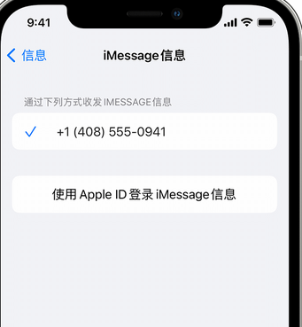 镇坪apple维修iPhone上无法正常发送iMessage信息 