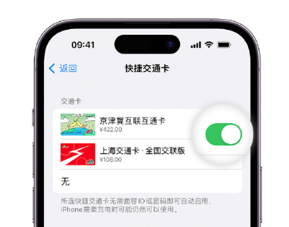 镇坪apple维修点分享iPhone上更换Apple Pay快捷交通卡手绘卡面 