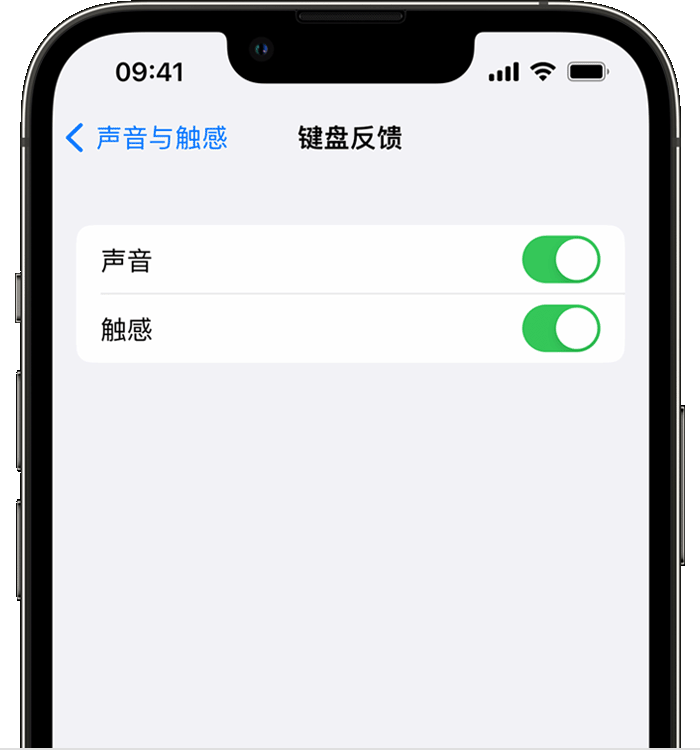 镇坪苹果14维修店分享如何在 iPhone 14 机型中使用触感键盘 