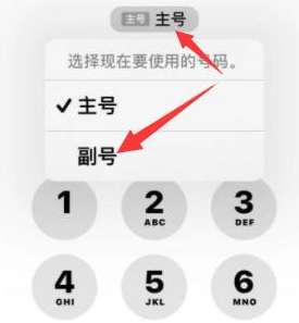 镇坪苹果14维修店分享iPhone 14 Pro Max使用副卡打电话的方法 