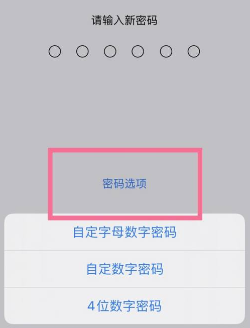 镇坪苹果14维修分享iPhone 14plus设置密码的方法 