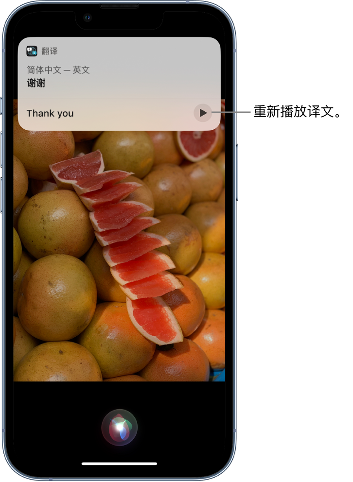 镇坪苹果14维修分享 iPhone 14 机型中使用 Siri：了解 Siri 能帮你做什么 