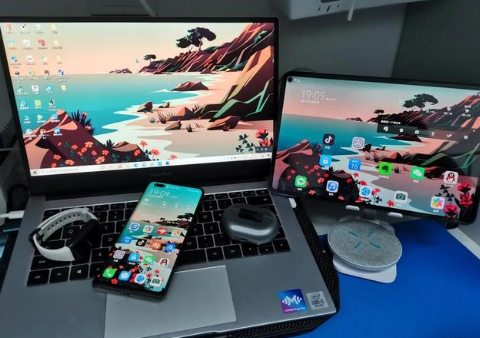 镇坪苹果手机维修分享为什么iPad屏幕更大价格却比iPhone低 