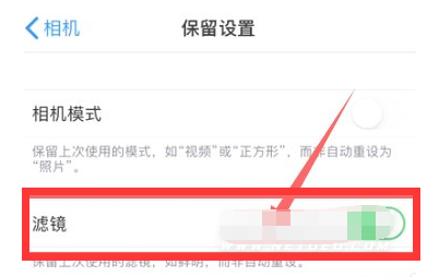 镇坪苹果13维修分享iPhone13拍照有绿点是怎么回事 