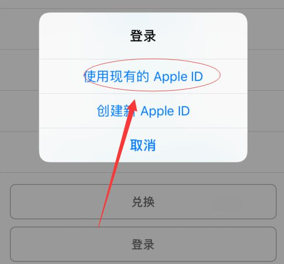镇坪苹果手机维修分享两台iPhone设备可以同时登录一个Apple ID吗 