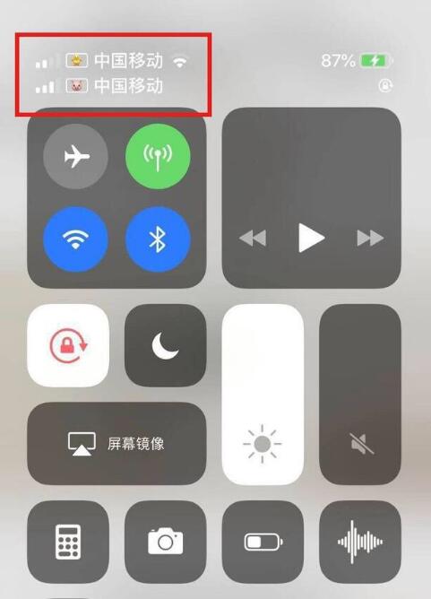 镇坪苹果手机维修分享为 iPhone 12 双卡设置标签 